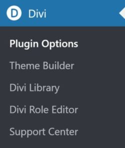 Divi Builder Admin Menu