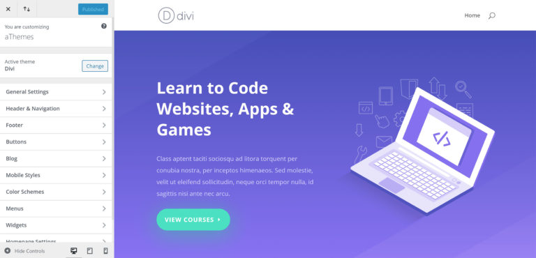 Divi Theme WordPress Theme Customiser