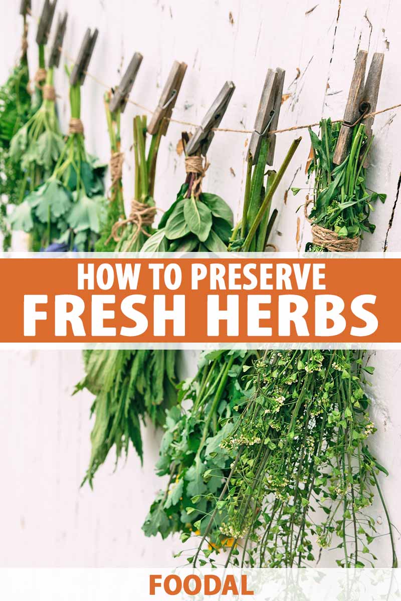Vertical image of fresh foliage hanging to dry with twine and clothespins, with text in the middle and on the bottom.