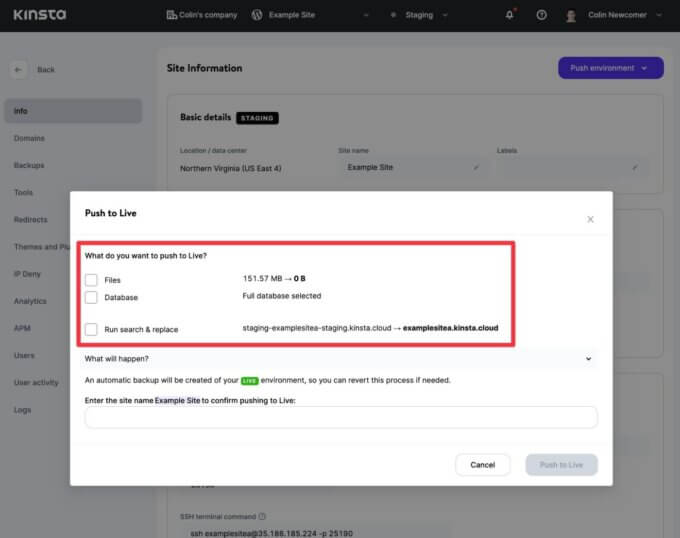 Kinsta staging push tool