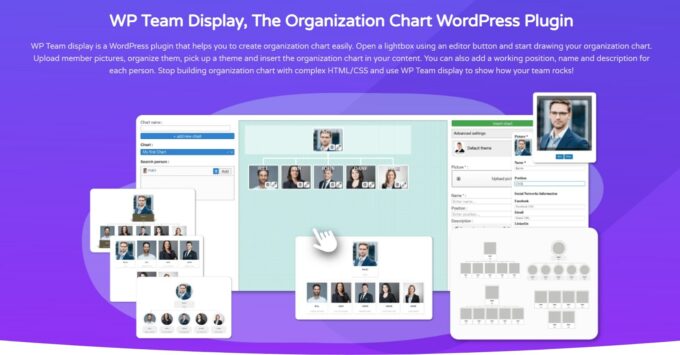 WP Team Display plugin