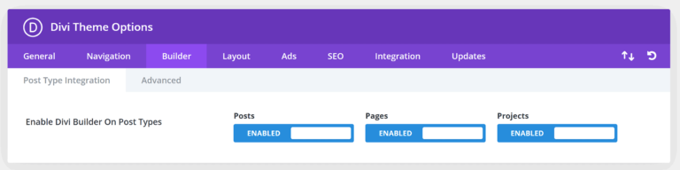 Divi Builder Post Types