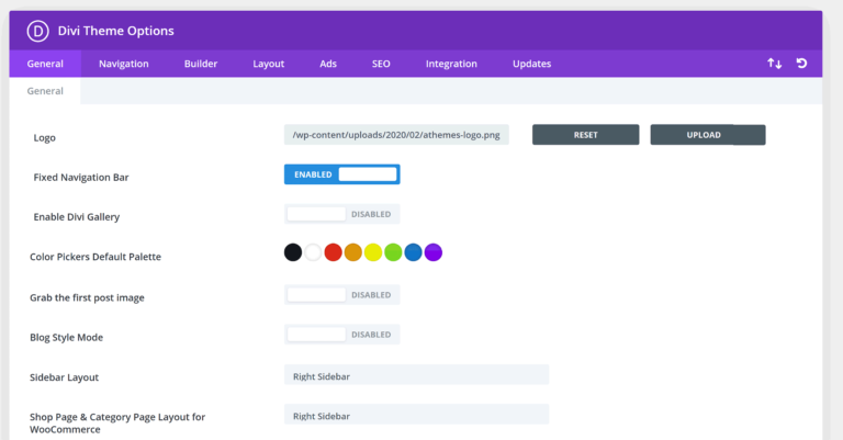 Divi Theme Options - Design