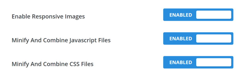 Divi Theme Minification Options