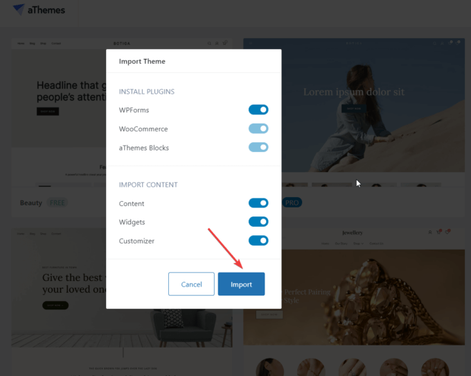 Botiga demo import tool, user interface