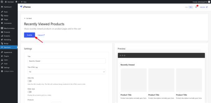 Enabling recently viewed products module merchant