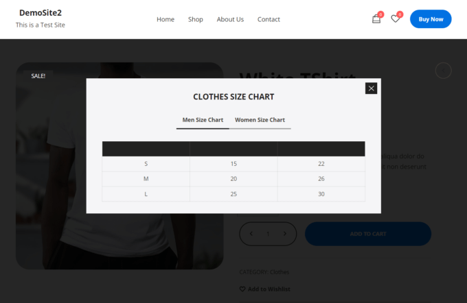 Size chart modal box